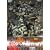 �u�E�҉��K�I�K�C�K�[�vDVD Vol.11
