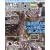 DVD�Ŋo����k���̃��A�[�t�B�b�V���O�\���ꂩ��n�߂�l�̂��߂̒ނ����DVD in MOOK (BIG1 129)