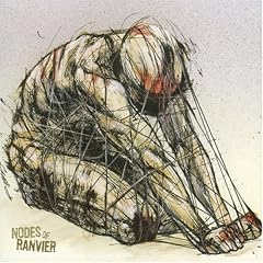 Nodes of Ranvier