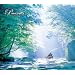 PIANO DANCE / The Standard Club