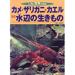 �J���E�U���K�j�E�J�G���Ȃǐ��ӂ̐������� (������ʐ^���ق�)