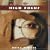 High Focus (Brain Sync audios)