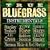 True Bluegrass Instrumentals