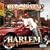 Harlem: Diary of a Summer