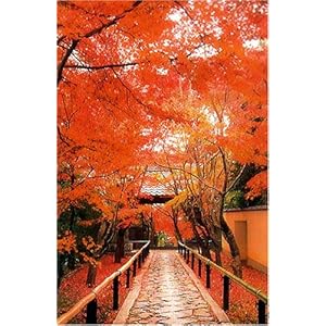 【クリックで詳細表示】1000ピース 光悦寺 RS-13-234