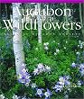 Audubon Wildflowers 2004 Calendar (National Audubon Society)