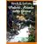 Wonderful Alexander and the Catwings (Orchard Paperbacks)