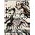 ���˂̉ԉ� ��芪 [DVD]