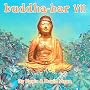 Buddha-Bar, Vol. 7