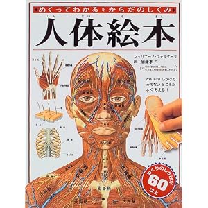 人体絵本―めくってわかる からだのしくみ ジュリアーノ フォルナーリ