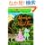 Magic Tree House #41: Moonlight on the Magic Flute (A Stepping Stone Book(TM))