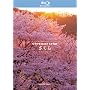 THE 5.1CH SURROUND virtual trip ������ nostalgia [Blu-ray]