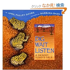 【クリックでお店のこの商品のページへ】Dig, Wait, Listen: A Desert Toad’s Tale: April Pulley Sayre, Barbara Bash: 洋書