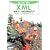 �͂��߂ēǂ�XML�\�W���f�[�^�L�q�������