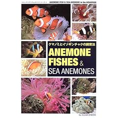 �N�}�m�~�ƃC�\�M���`���N�̎���@�\ANEMONEFISHES & SEA ANEMONE (�}�����A�N�A���E���K�C�h�V���[�Y)