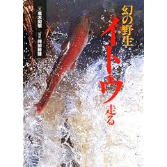 ���̖쐶 �C�g�E����