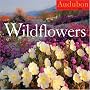 Audubon Wildflowers 2009 Calendar (Wall Calendars)