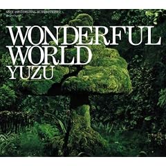 WONDERFUL WORLD(��������)(DVD�t)
