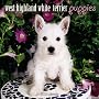 West Highland White Terrier Puppies 2010 Calendar