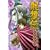 ���T�` ����㇗��� 4 (�����}�K�W���R�~�b�N�X)