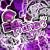 �G�O�W�b�g�E�g�����X#03 �~�b�N�X�h�E�o�C DJ UTO