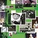 Oriental Green(DVD�t)