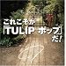 ���ꂱ�����uTULIP �|�b�v�v���IThe Complete Single Box