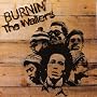 Burnin' [12 inch Analog]