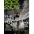 ROCK&SNOW number41 (autumn iss (�ʍ��R�Ɵ�J)
