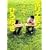 �z���G�����~�Ђ�䂫 ���������{����12���� �u�Ȃ񂩃w������ˁE�E�E�v