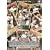 MLB ���{�l���W���[���[�K�[�M���� 2008 [DVD]