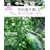�������Ŋy���ގ�Â���K�[�f�� vol.2(�ʍ�NHK��̉��|)