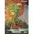 �Q�h��L�@���ʎ��^�� [DVD]