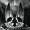 TULIPIN�fMUSIC