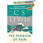 The Problem of Pain