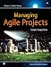 Managing Agile Projects