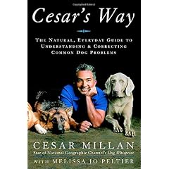 Cesar's Way: The Natural, Everyday Guide to Understanding and Correcting Common Dog Problems