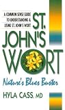 St. John's Wort: Nature's Blues Buster