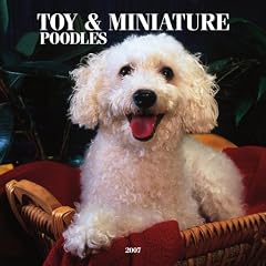 Toy and Miniature Poodles 2007 Calendar