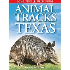 Animal Tracks of Texas