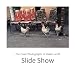 Helen Levitt/John Szarkowski: Slide Show: The Color Photographs of Helen Levitt
