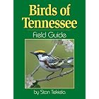 Birds of Tennessee Field Guide (Our Nature Field Guides)