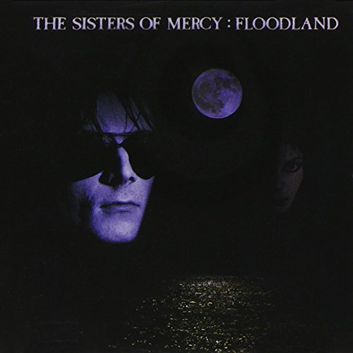 Floodland