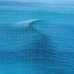 IPB Image