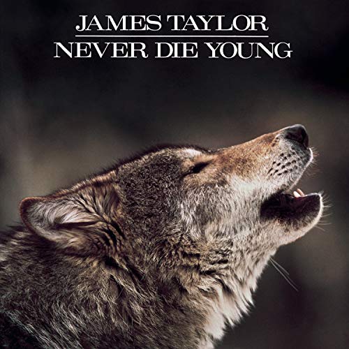 James Taylor - T-Bone Lyrics - Zortam Music