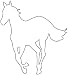 White Pony