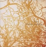 EvolutionのCDジャケット