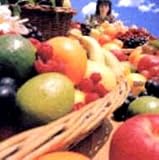 経験の唄のCDジャケット