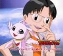 白いカモメのCDジャケット