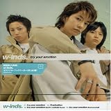 try your emotionのCDジャケット